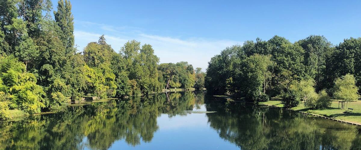 A calm river reflecting trees and a clear sky.