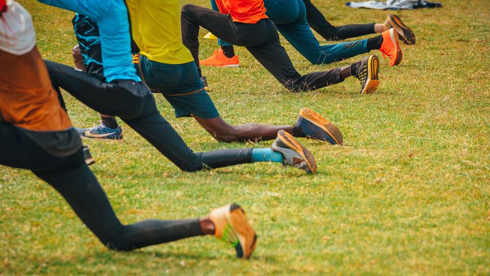 A group of people stretching on a grassy field.