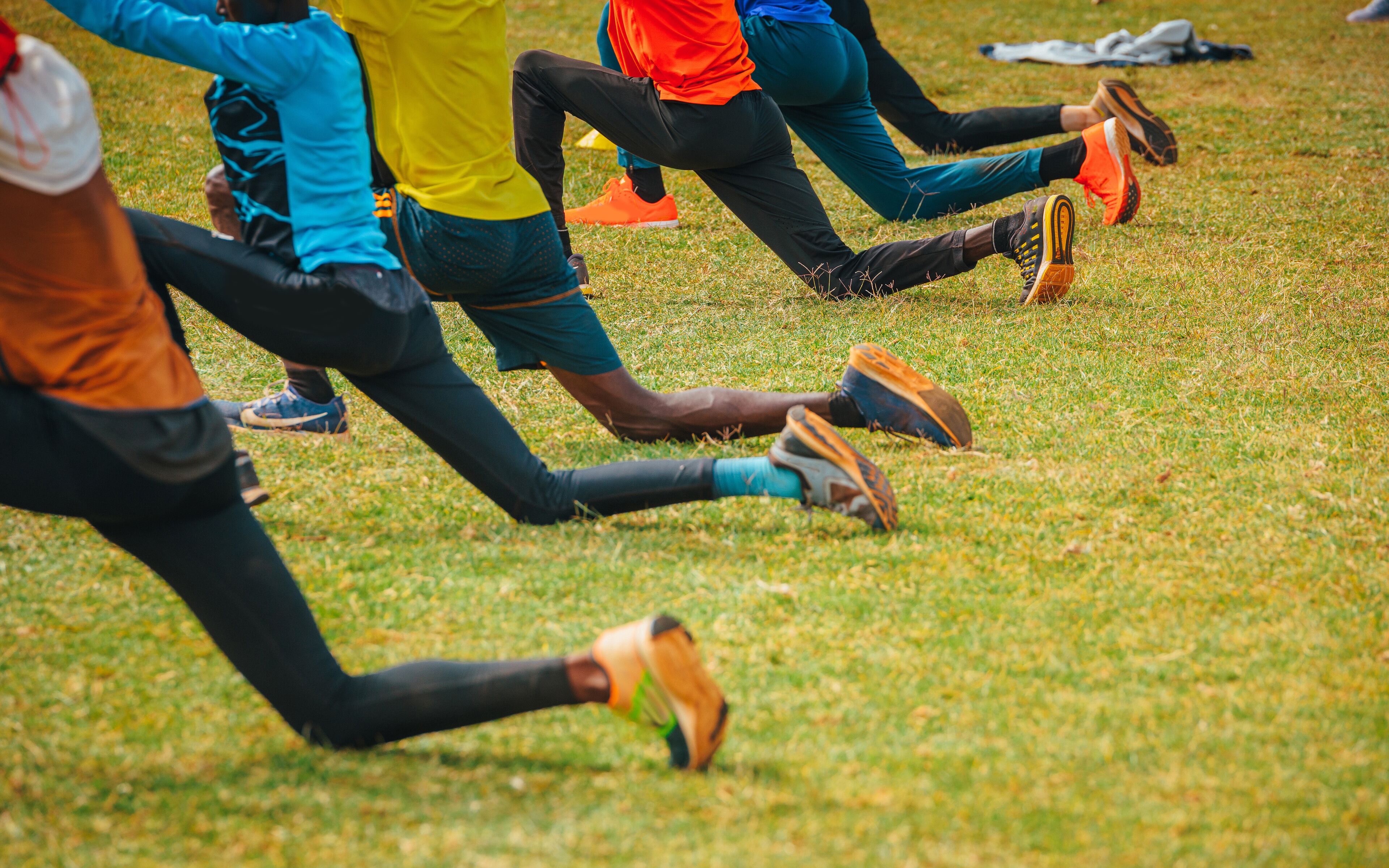 A group of people stretching on a grassy field.
