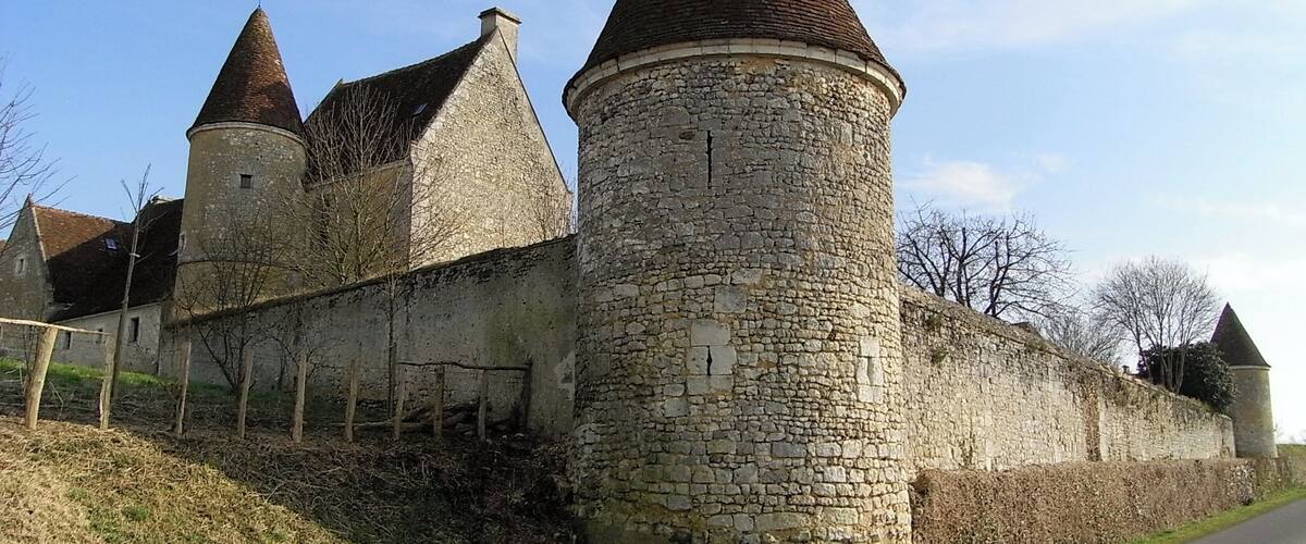 A medieval stone castle with conical towers and a round tower.