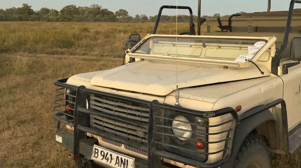 Rolling in style for the game drive.
