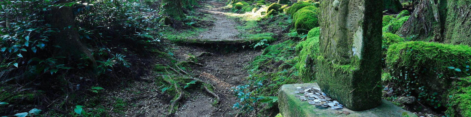A forest with a moss-covered stone monument and a narrow dirt path.