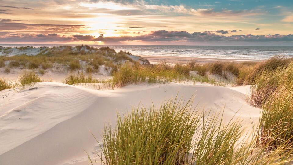 A beach with sand dunes and grass.