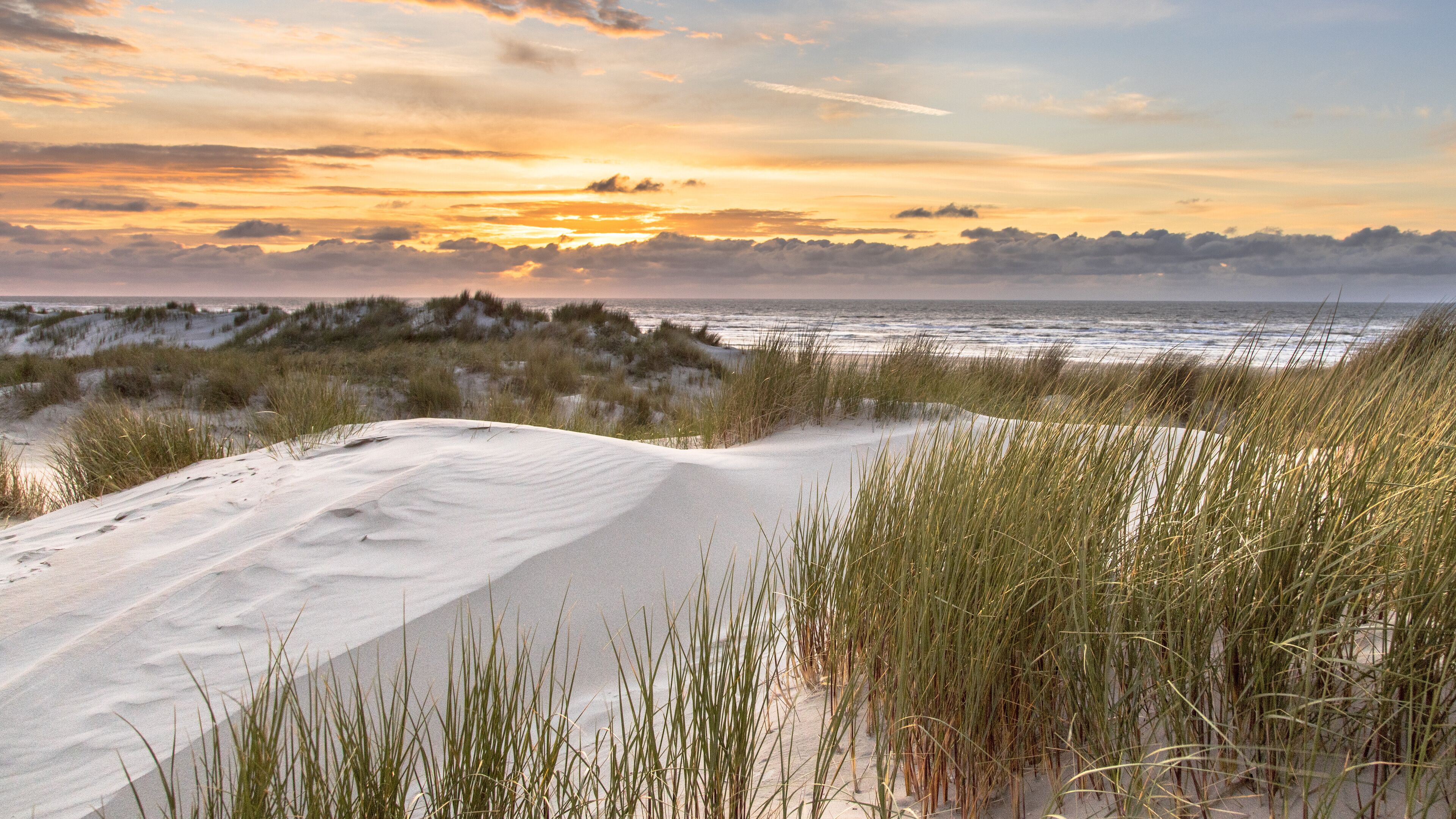 A beach with sand dunes and grass.