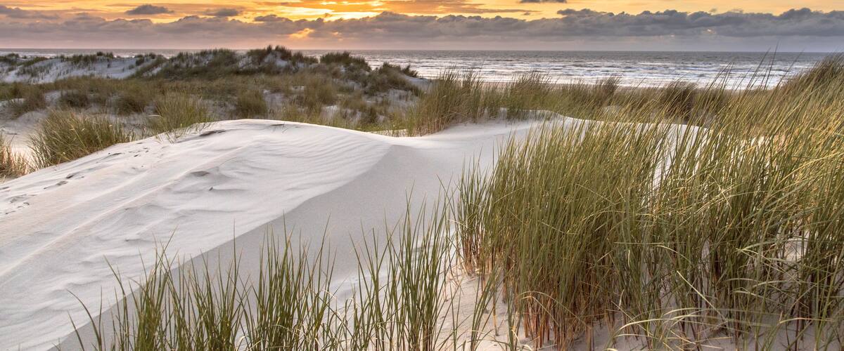 A beach with sand dunes and grass.