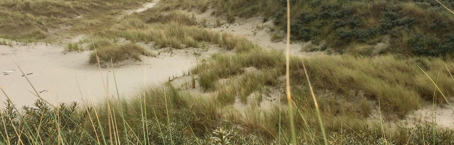 The Oerd dunes on the isle of Ameland