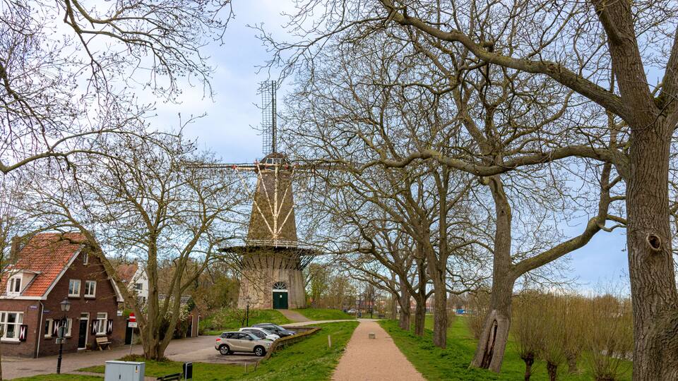 A pathway lined with trees, a windmill, and a row of parked cars.