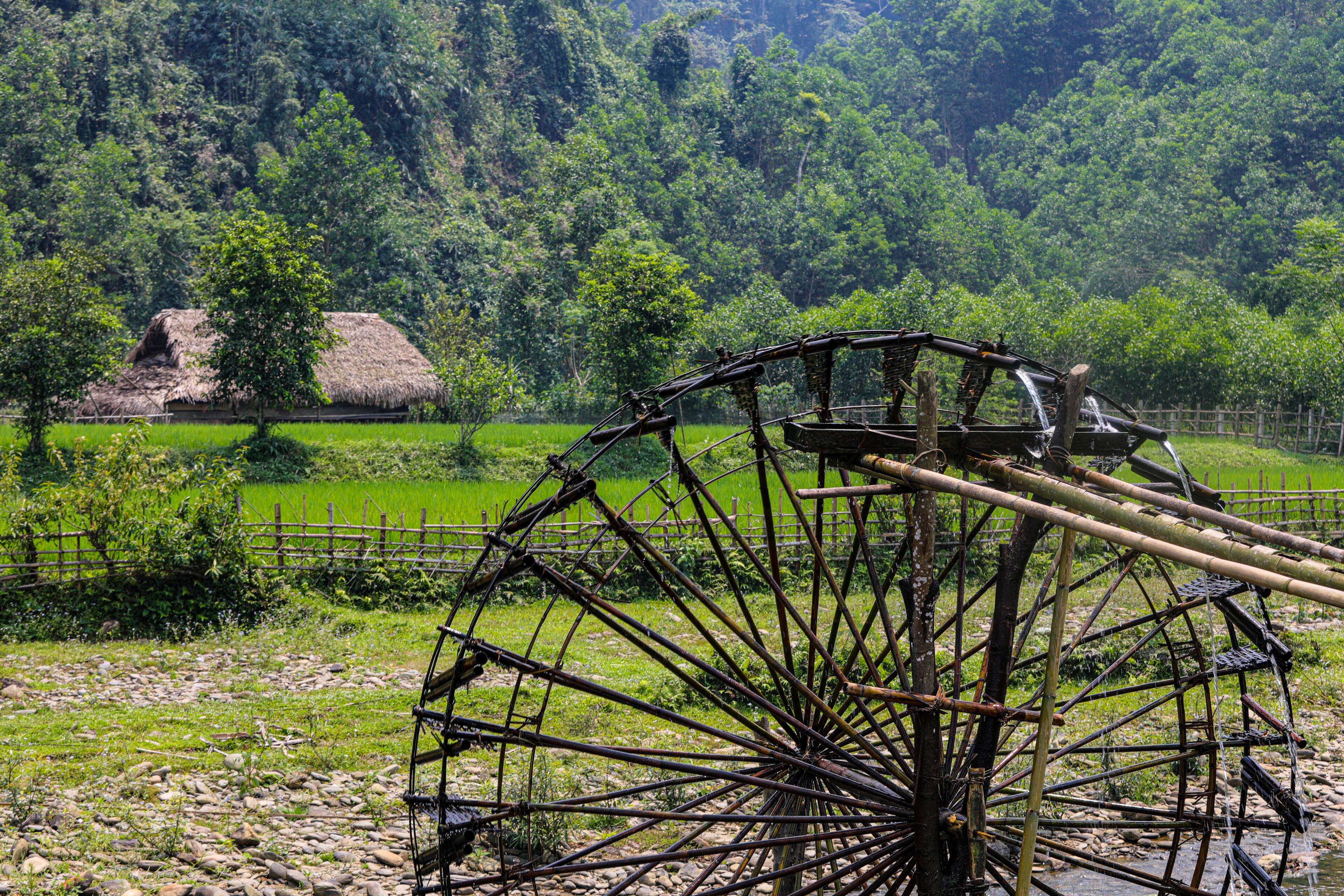 A traditional water wheel in a rural setting with lush greenery and a thatched-roof house in the background.