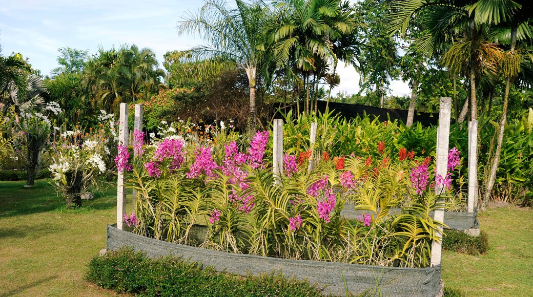 Jardín de orquídeas de Bali