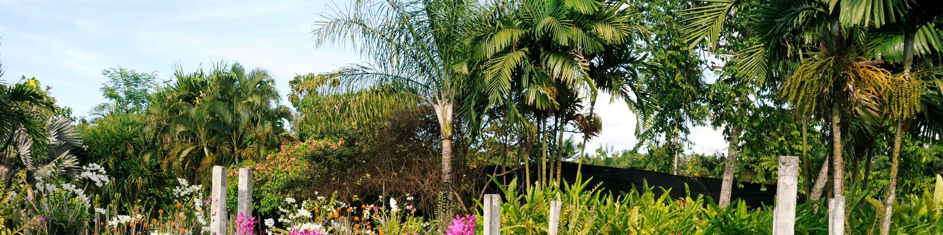 BG3JCJ Bali orchid garden, Denpasar, Bali, Indonesia