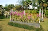 BG3JCJ Bali orchid garden, Denpasar, Bali, Indonesia