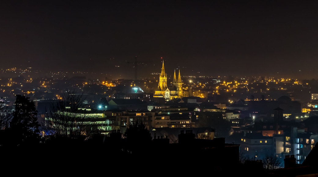 Beautiful night scene Cork Ireland Patrick's Hill panorama Saint Fin Barre's Cathedral