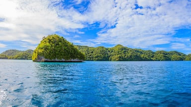 Inselhüpfen auf Palau