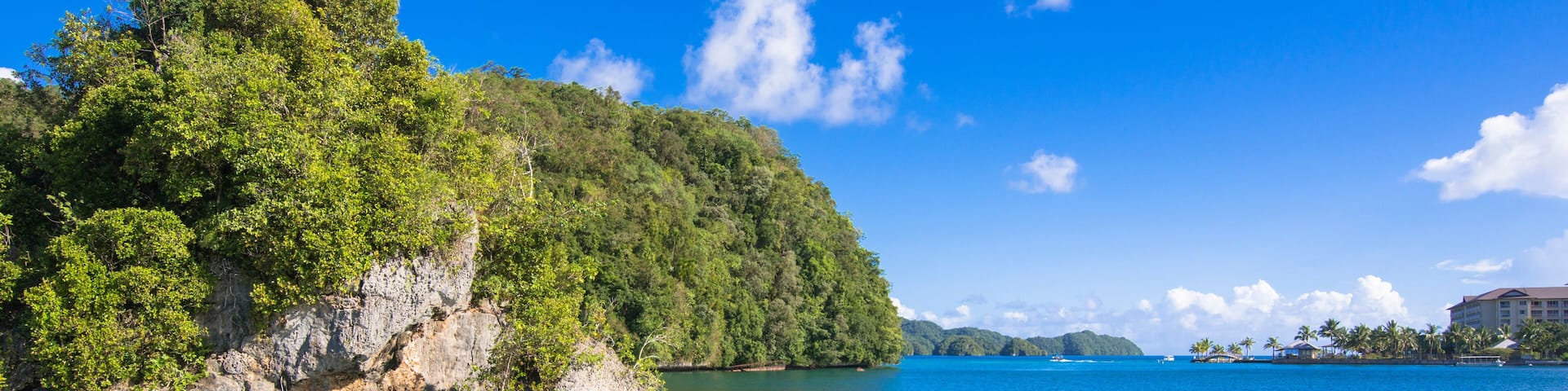 A clear turquoise sea, a rocky coastline, and a lush green hill.