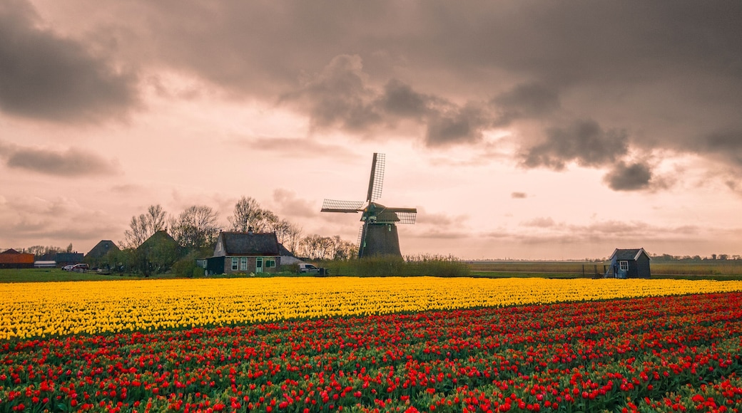 ์ ํธ๋ง๋ฅดํ
์ค๋ธ๋คผํ