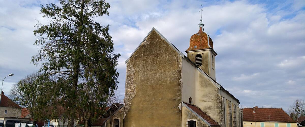 A church with a bell tower and a large tree in front.