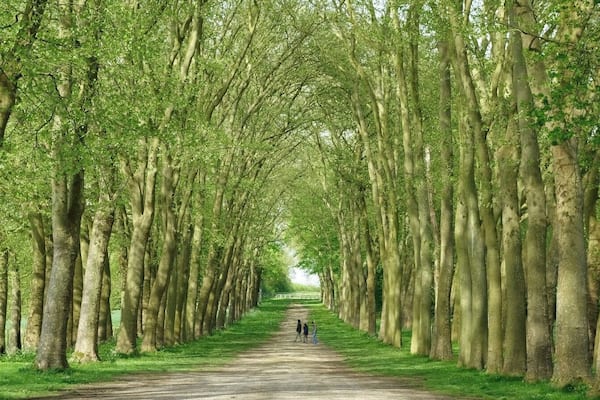 Schlosspark von Courances