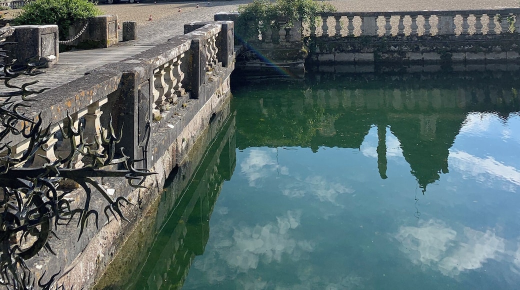 A very well preserved private owned castle . Worth the visit