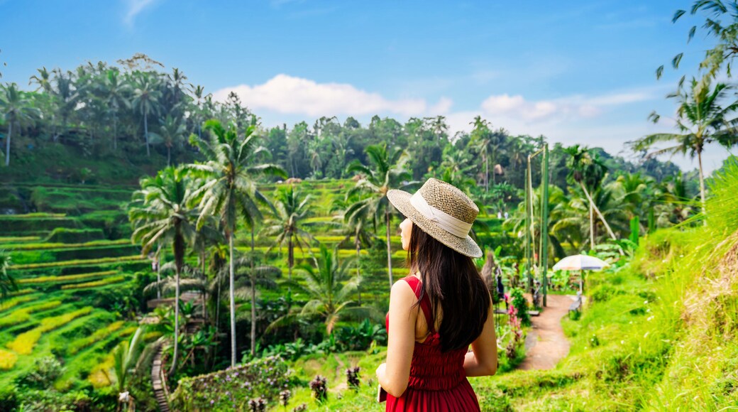 Young female tourist in red dress looking at the beautiful tegalalang rice terrace in Bali, Indonesia
