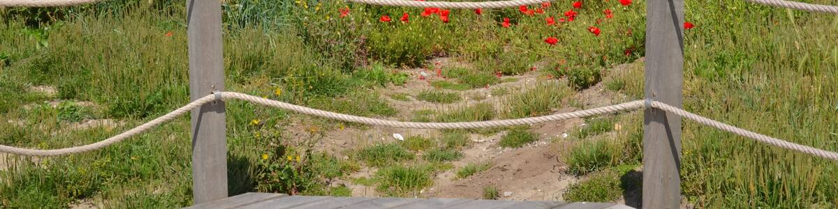 Baie de Pont-Mahé, Pénestin, Asserac, West of France