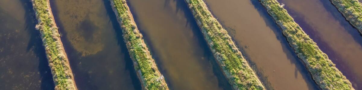 Aerial view of abstract pattern from a lagoon along the Tagus river in Corroios, Setubal, Portugal.