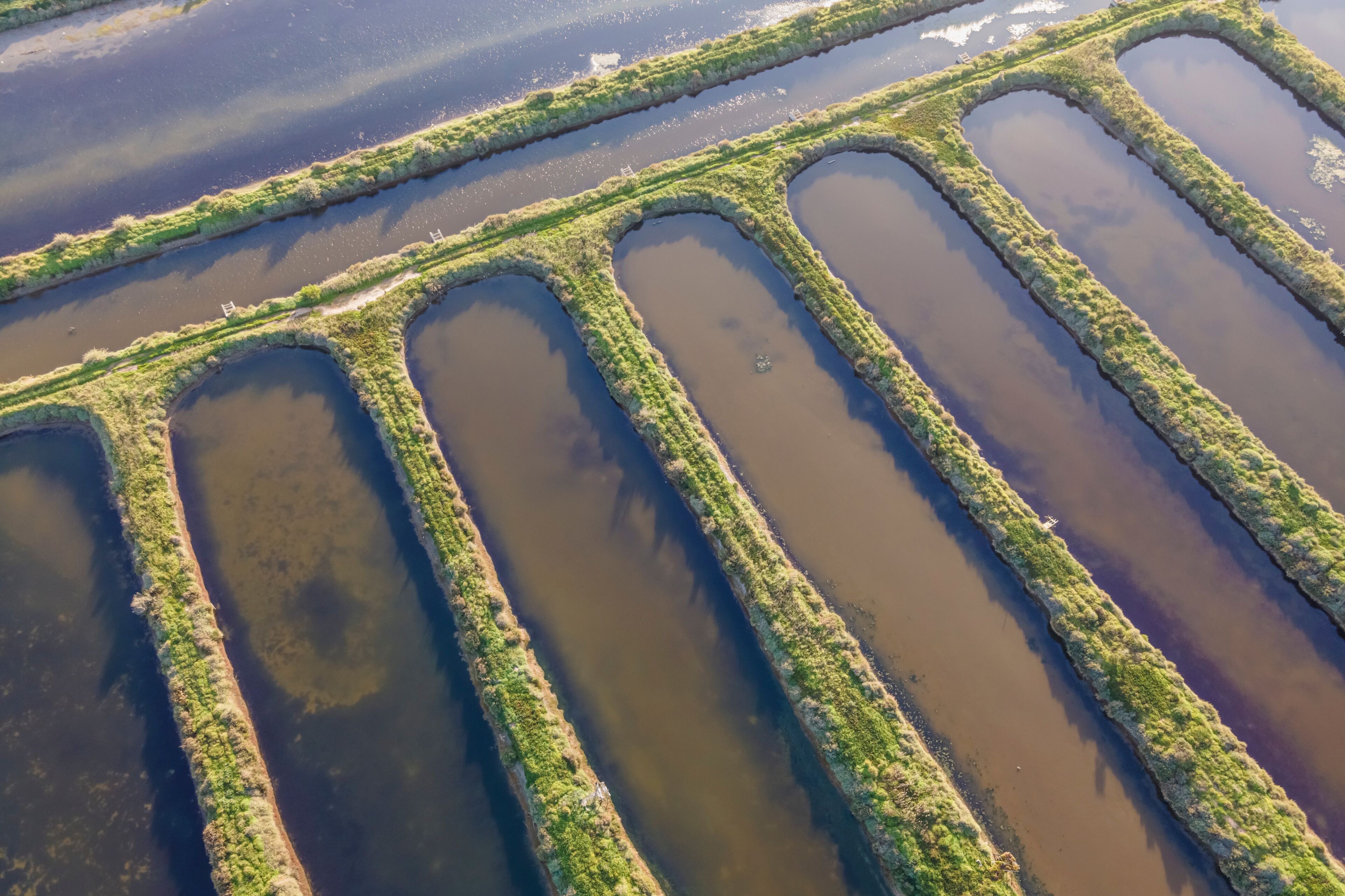 An aerial view of a series of rectangular water bodies with green vegetation along their edges.