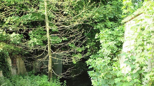 Cézy (Yonne, France)