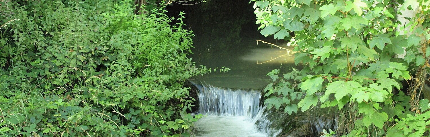 Cézy (Yonne, France)