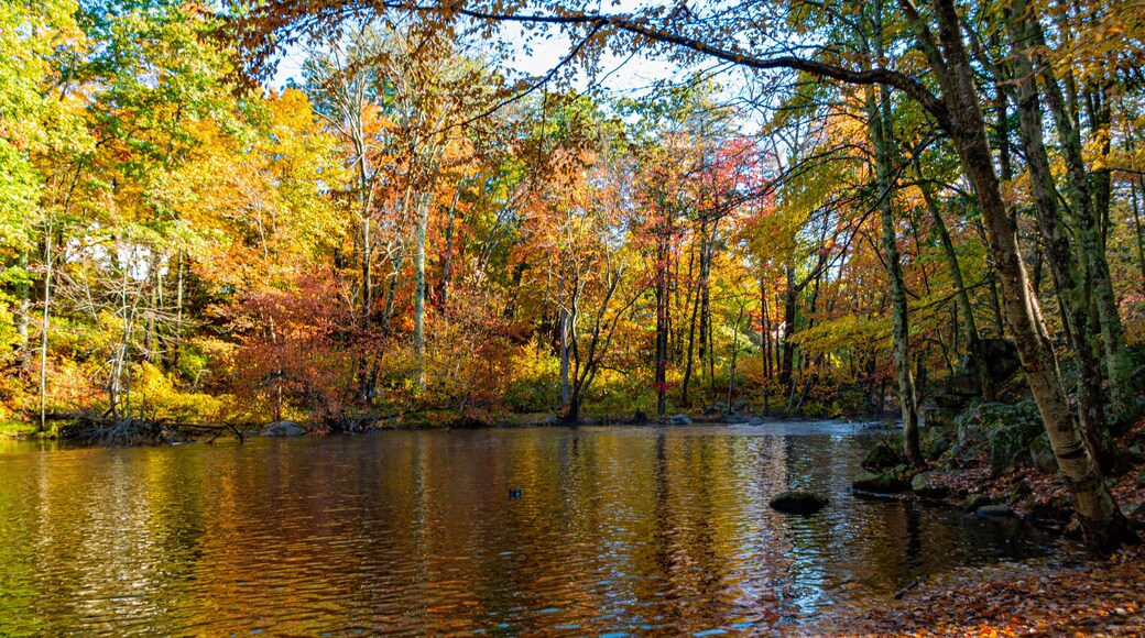 Fall colors near river in Palmer MA