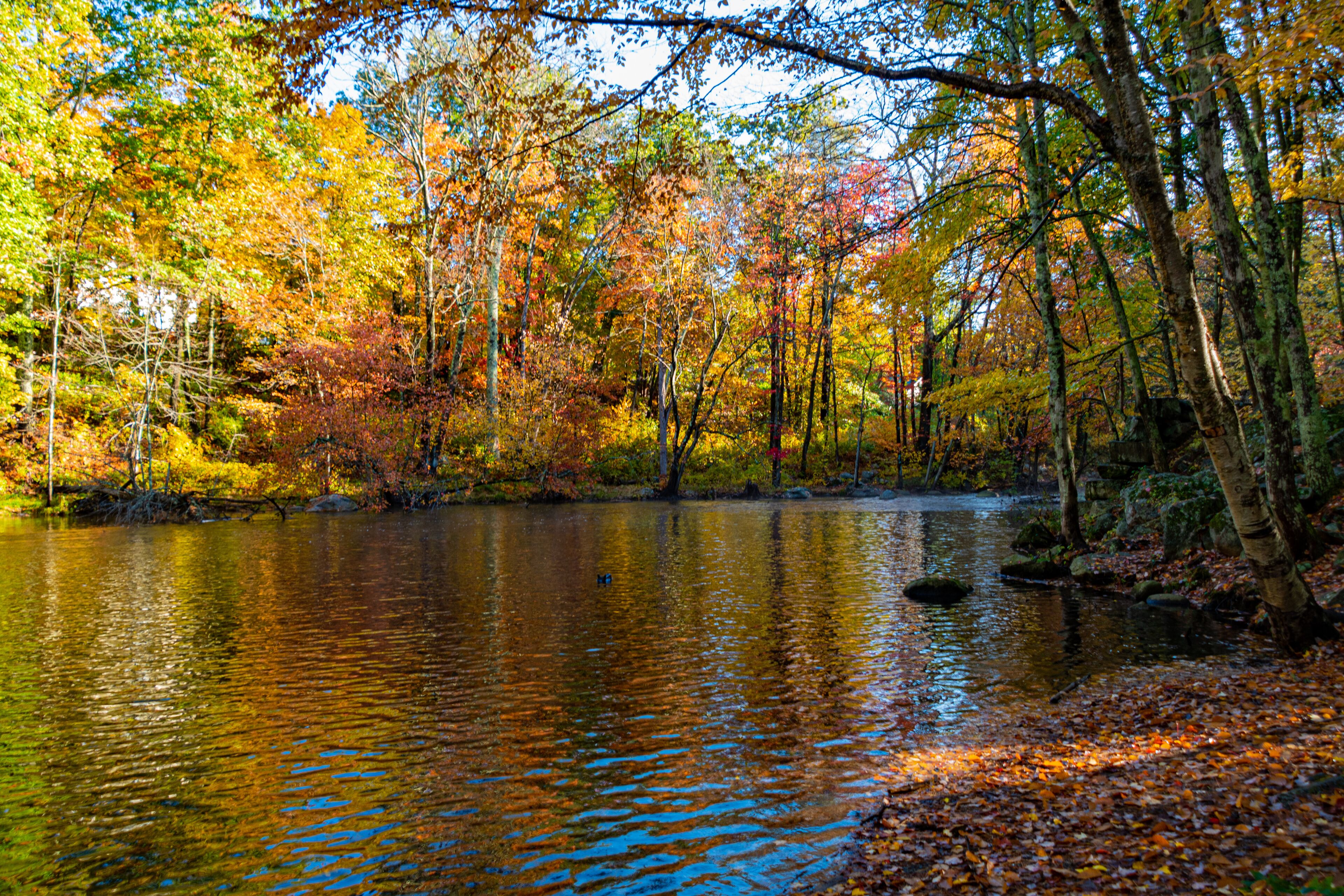 A calm river surrounded by autumn-colored trees.
