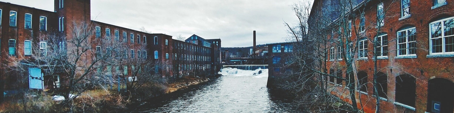 Another roadside find.