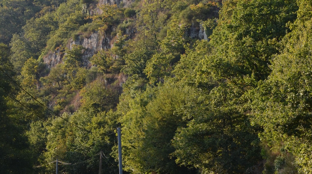 Falaises donnant sur la vallée de la Vire, sur la commune de Malloué.