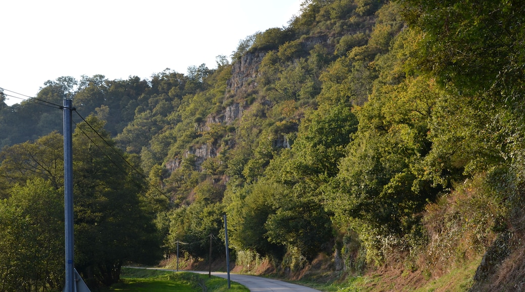 Falaises donnant sur la vallée de la Vire, sur la commune de Malloué.