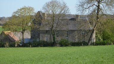 A stone house with a sloped roof, surrounded by a green field and trees.