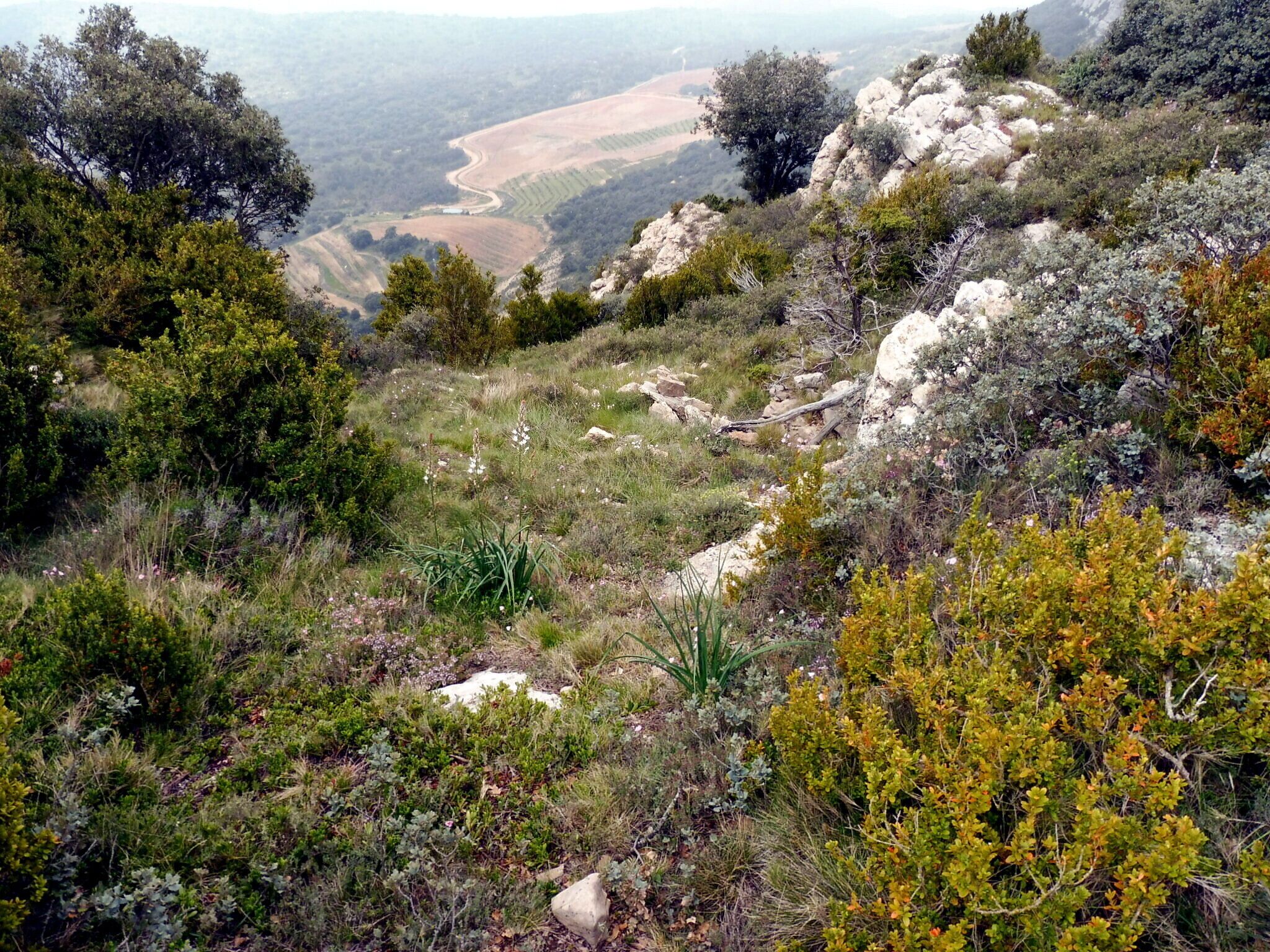 This is a a photo of a natural area in Catalonia, Spain, with id: