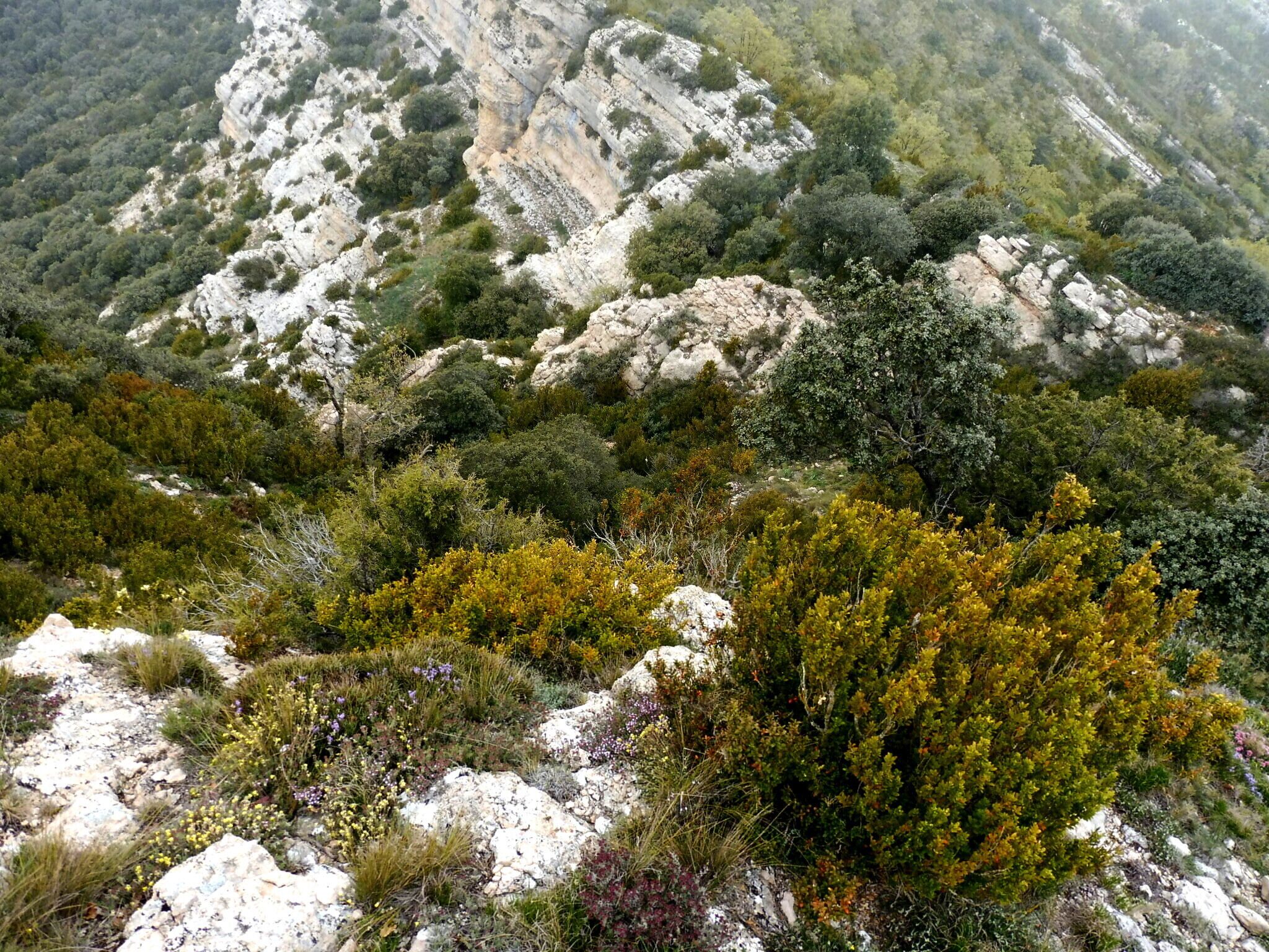 This is a a photo of a natural area in Catalonia, Spain, with id: