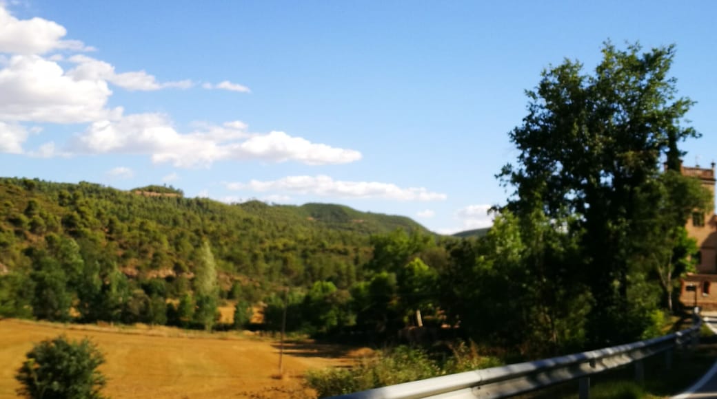 arribant a Argençola des de Balsareny