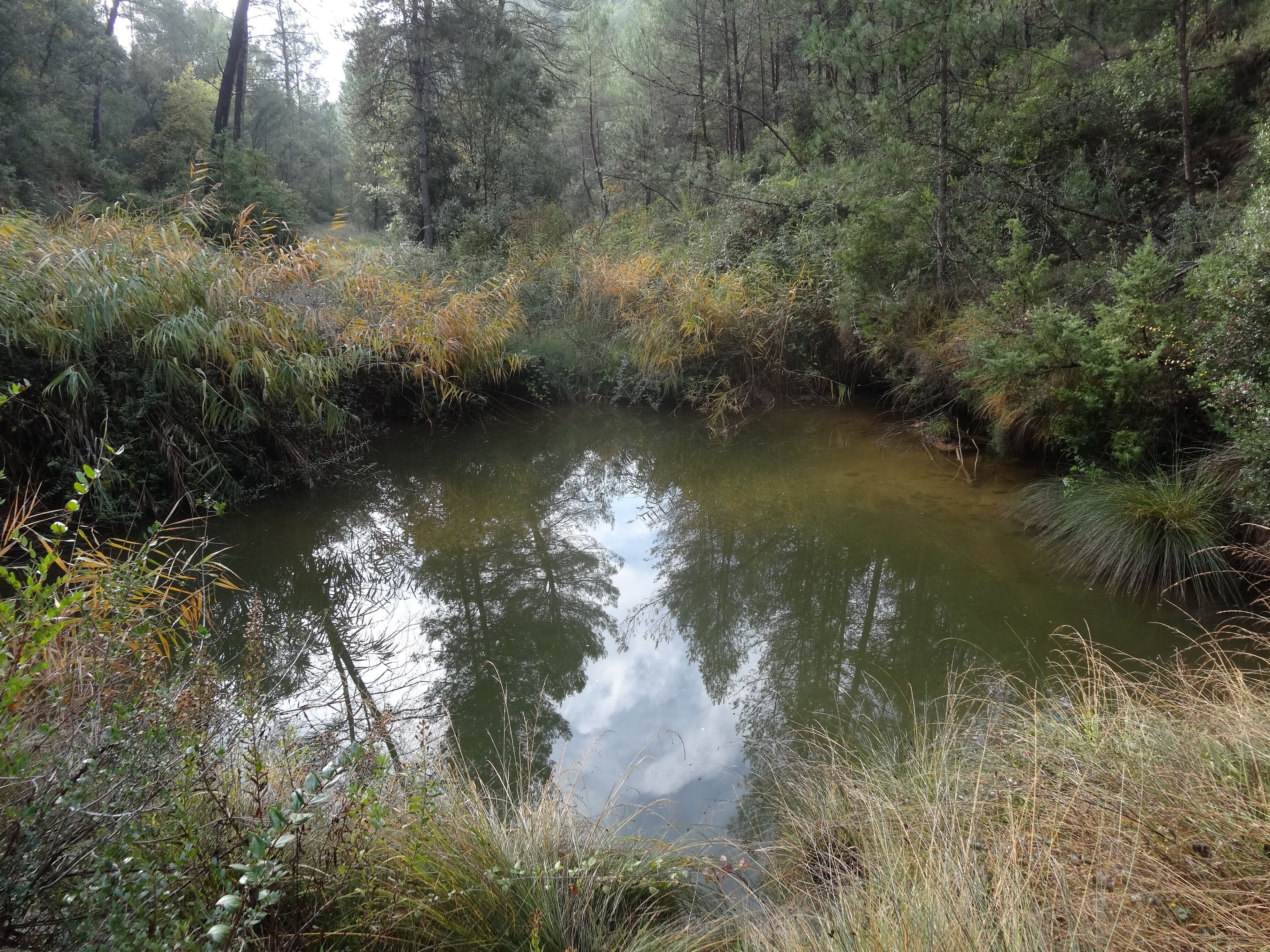 Toll de la Por o Toll de Fontcoberta (novembre 2012)