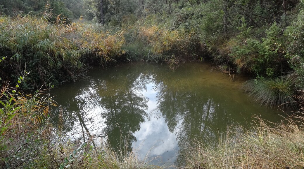 Toll de la Por o Toll de Fontcoberta (novembre 2012)