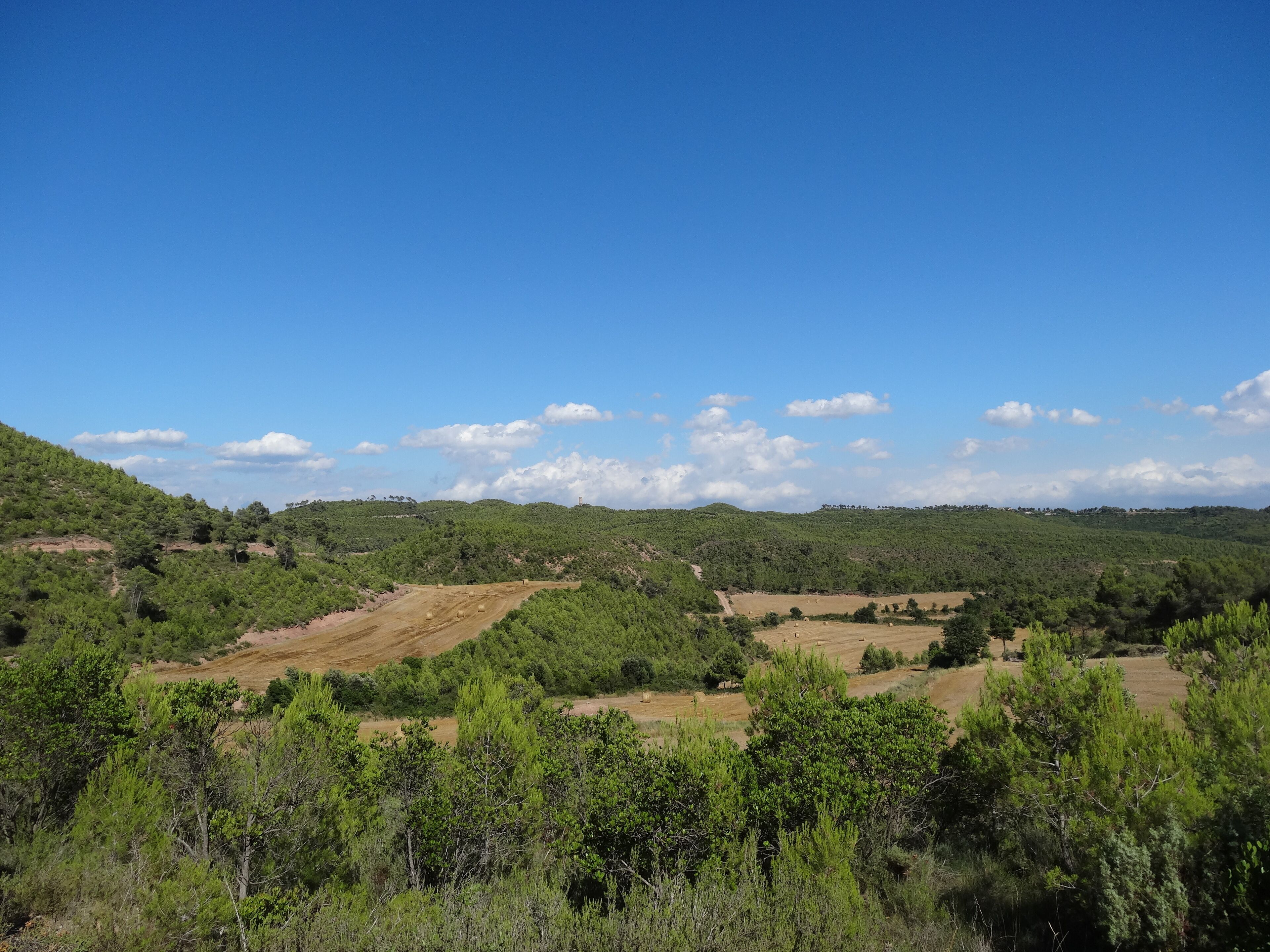 Torre dels Moros, o Torre de Castellnou de lluny (juliol 2012)