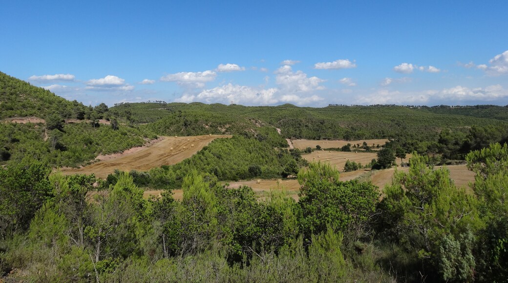 Torre dels Moros, o Torre de Castellnou de lluny (juliol 2012)