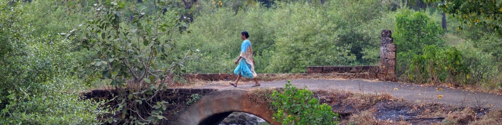 India can be a bit overwhelming, but after a few days you will start to love it.