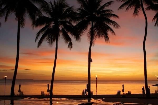 A lovely resort with beautiful sunsets - the perfect place to relax after a day of scuba. This resort is by far the nicest in Palau, set within a lush tropical garden and featuring a beautiful white sand beach. It's a bit secluded, but local dive shops will still pick you up here, often by boat.