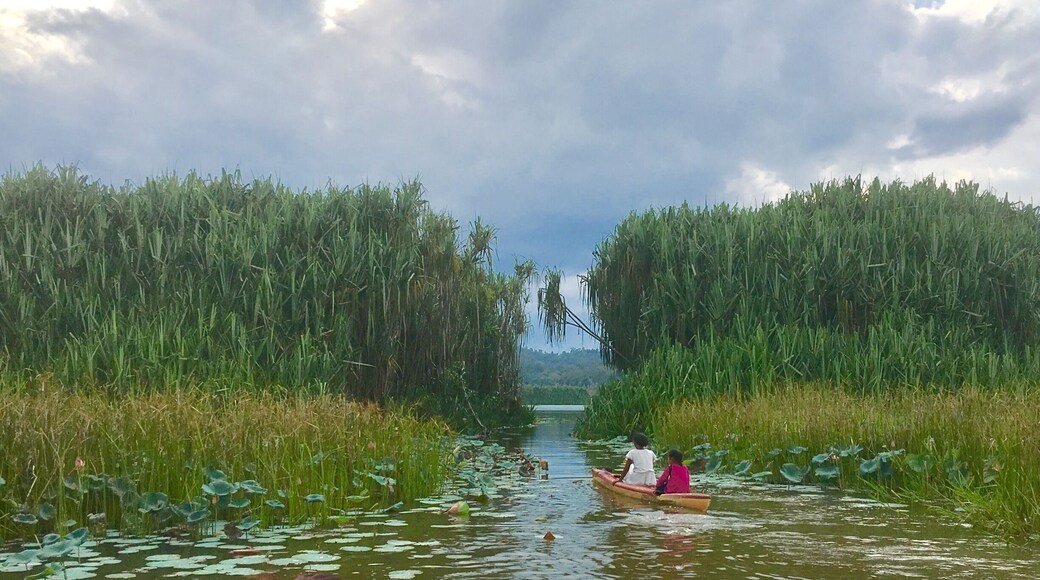 Kids from Kampung Chendahan, home of the indigenous Jakun tribe enjoy a boat ride in Lake Chini. The lake which is being rehabilitated after years of environmental degradation from logging and mining activities is a source of livelihood for the Jakun and other indigenous communities living in the area. Read more about Lake Chini: http://wp.me/p7CVI8-cj
#tasikchini #pahang #malaysia #lake #environment