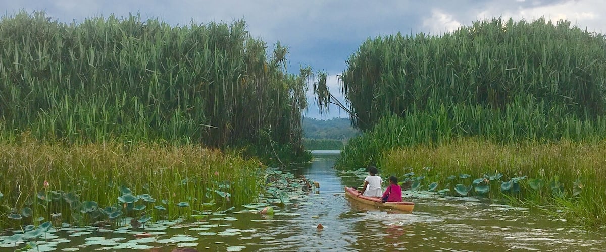 A narrow waterway flanked by dense reeds, with two individuals in a small boat.