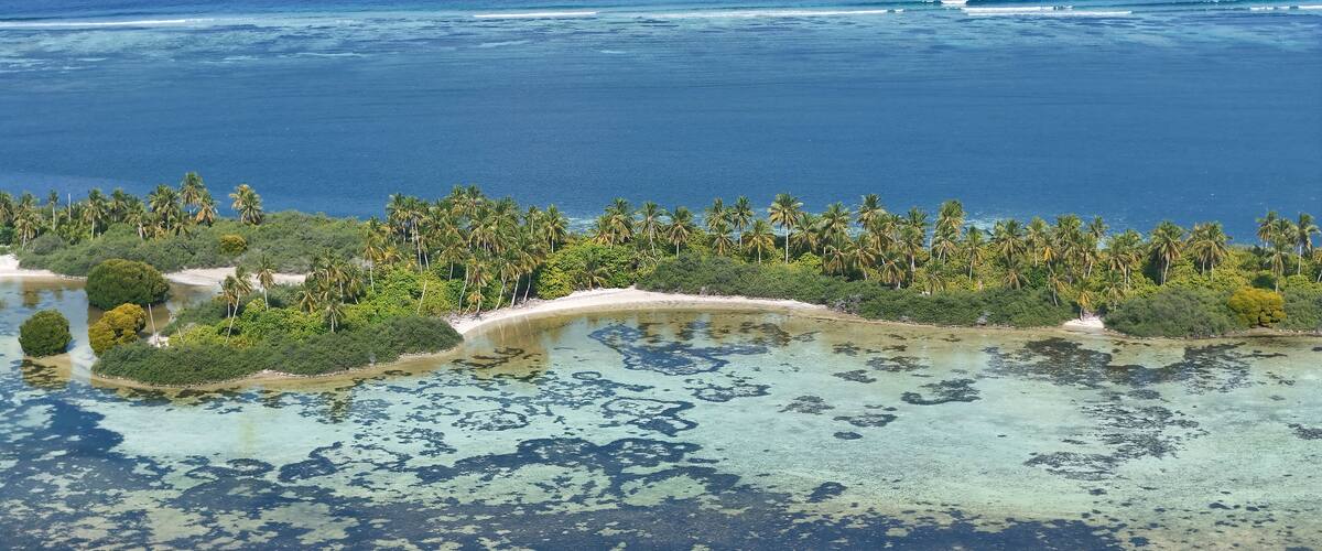 An aerial view of a tropical island with clear blue waters, a sandy beach, and dense palm trees.