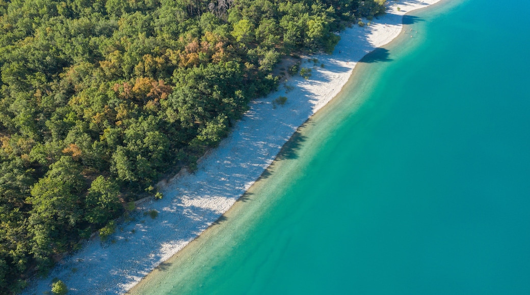 Eine Vogelperspektive zeigt einen Strand mit klarem türkisblauem Wasser und einem dichten Wald im Hintergrund.