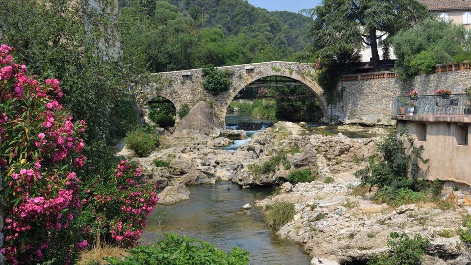 A stone bridge over a river, surrounded by lush greenery and a stone wall.