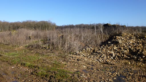 Saint-Maurice-sur-Aveyron, Loiret, Centre, France. Ruins at Les Irlets.