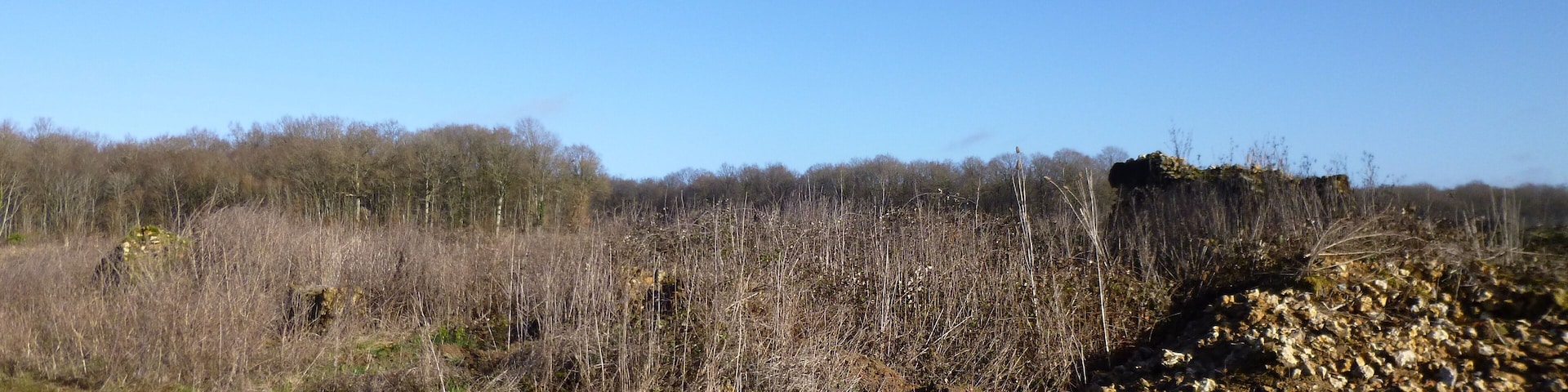 Saint-Maurice-sur-Aveyron, Loiret, Centre, France. Ruins at Les Irlets.